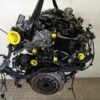 Ford - FIESTA VII (HU, HF) - Engine - Image 5