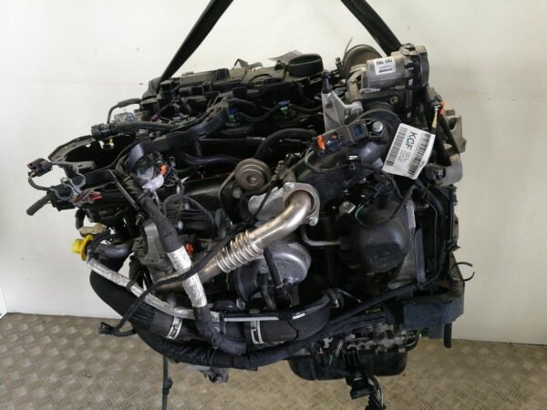 Ford - FIESTA VII (HU, HF) - Engine - Image 6