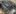 Ford Mustang GT350 Voodoo 5.2L Used Engine